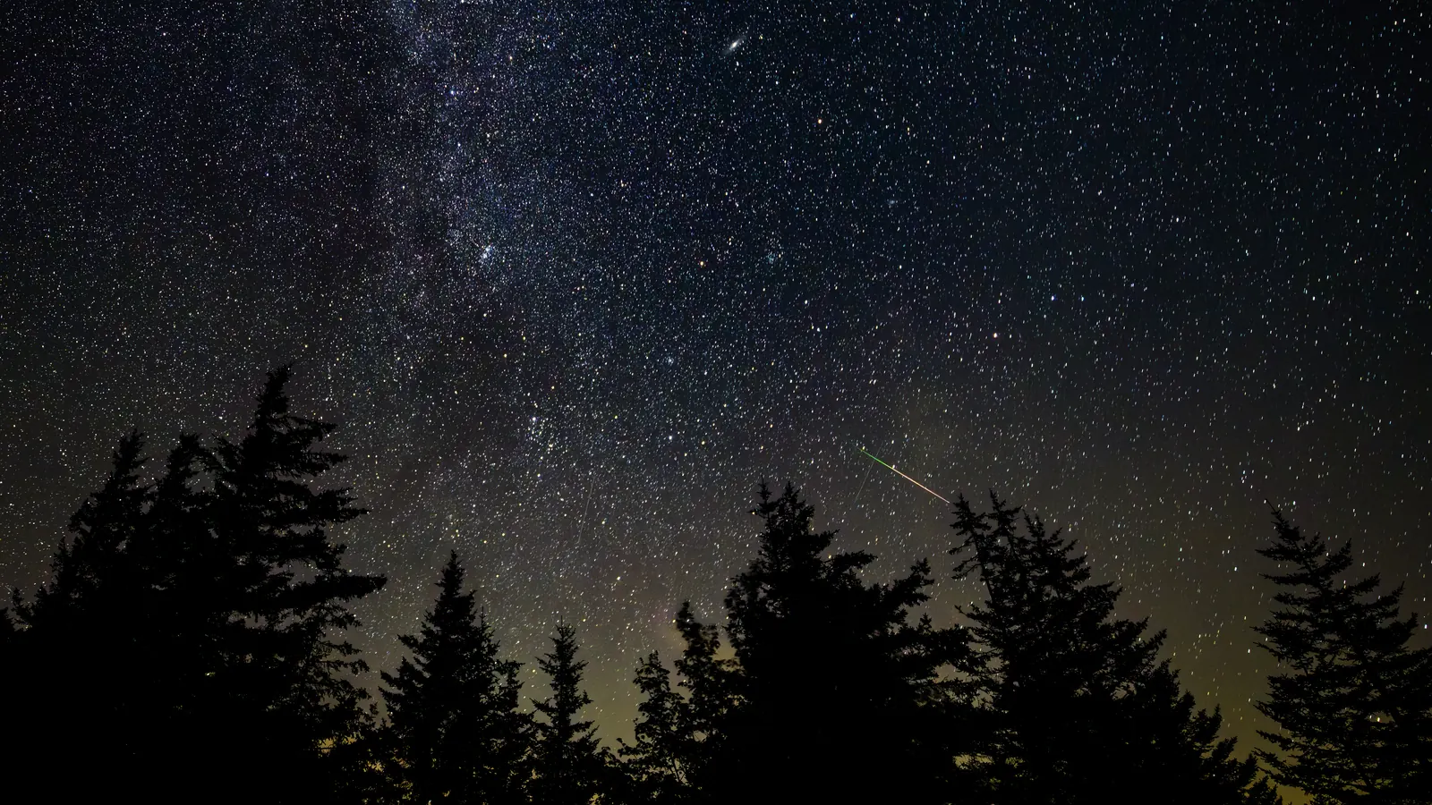 A meteor streaking across the Milky Way above evergreen trees at Spruce Knob, West Virginia, on August 3, 2025, during the Perseid and Alpha Capricornid showers